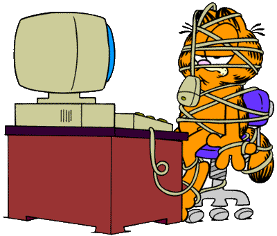 Garfield on a computer